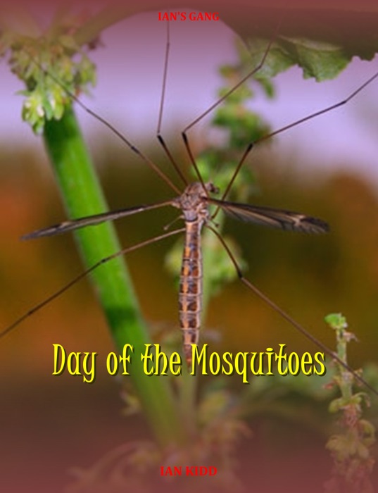 Ian's Gang: Day of the Mosquitoes