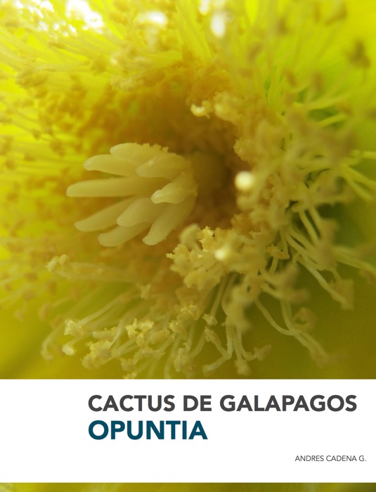 Cactus de Galapagos