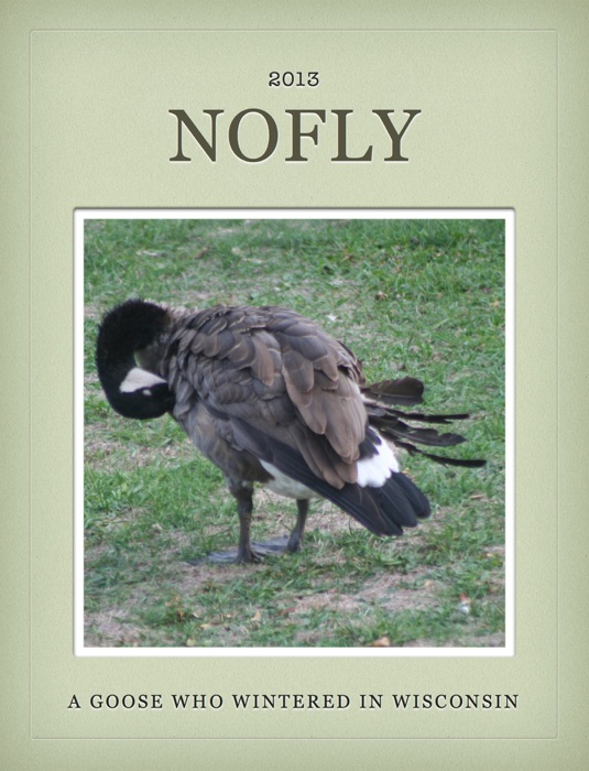 NoFly