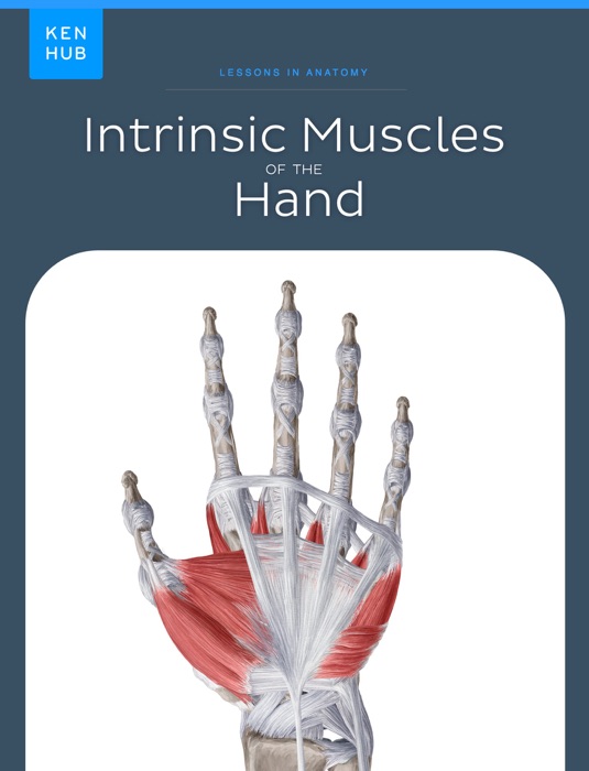 Intrinsic Muscles of the Hand