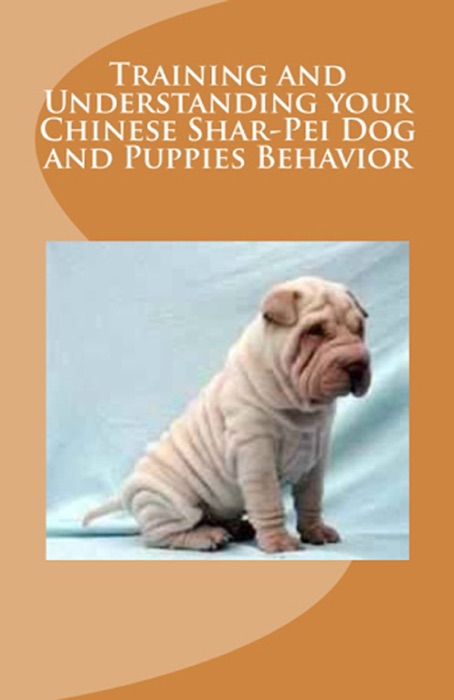 Training and Understanding Your Chinese Shar-Pei Dog and Puppies Behavior