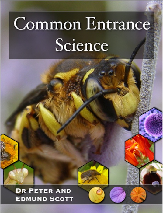 Common Entrance Science