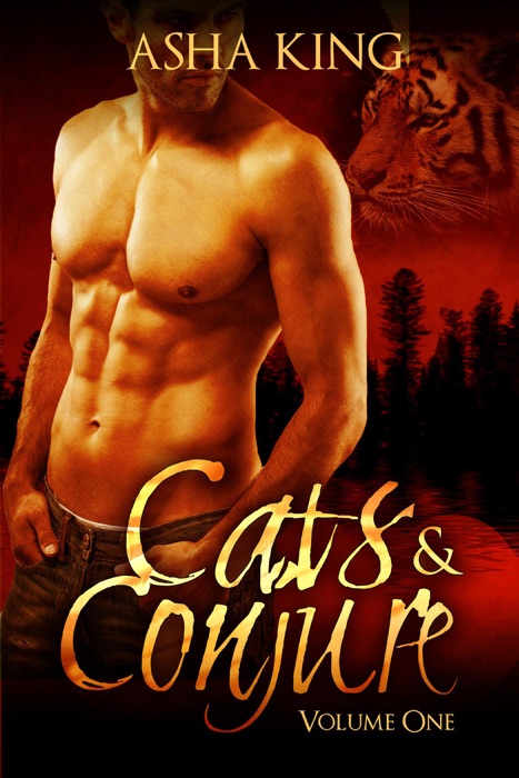 Cats & Conjure Volume One