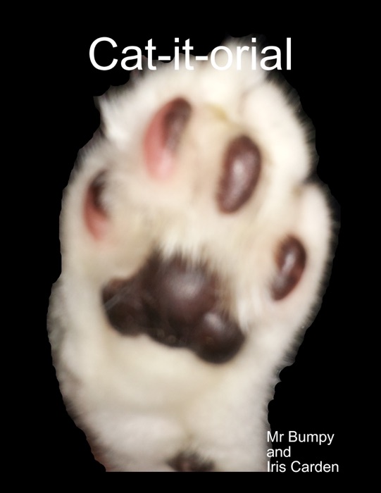 Cat-it-orial