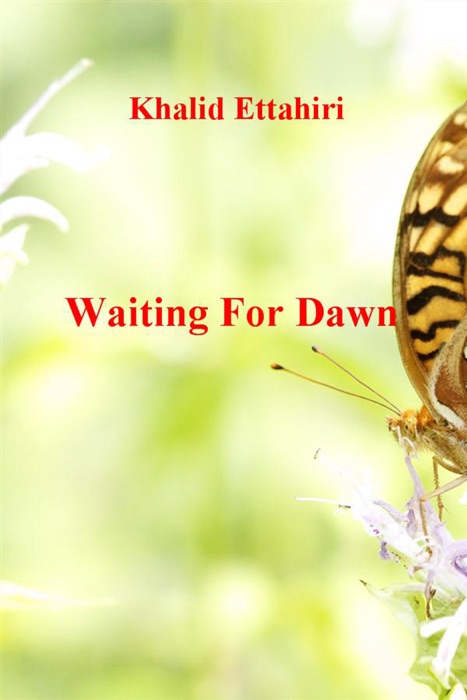Waiting for Dawn