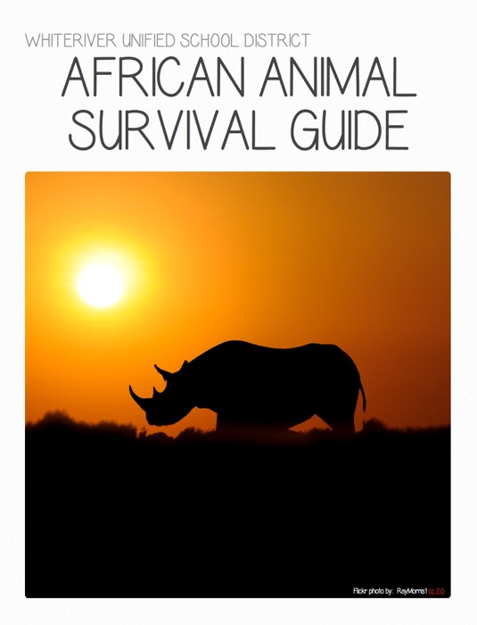 African Animal Survival Guide