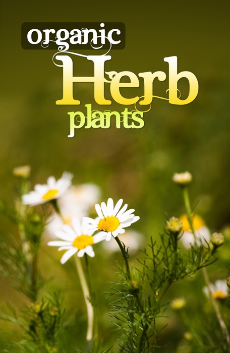 Organic Herb Plant