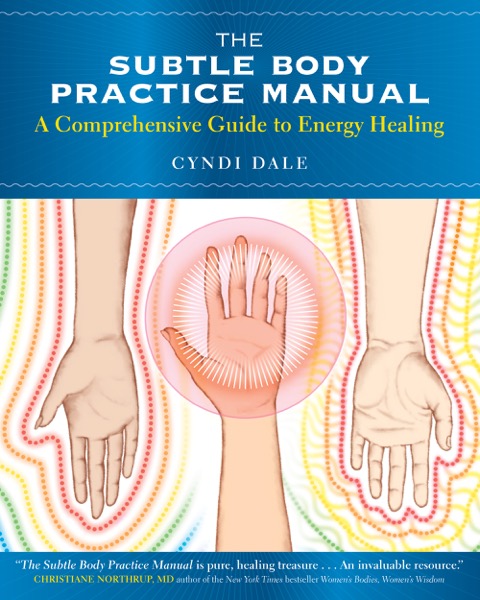 The Subtle Body Practice Manual
