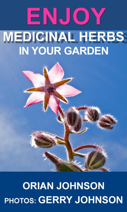 Enjoy Medicinal Herbs in Your Garden