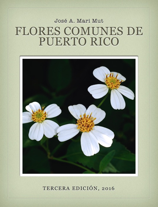 Flores comunes de Puerto Rico