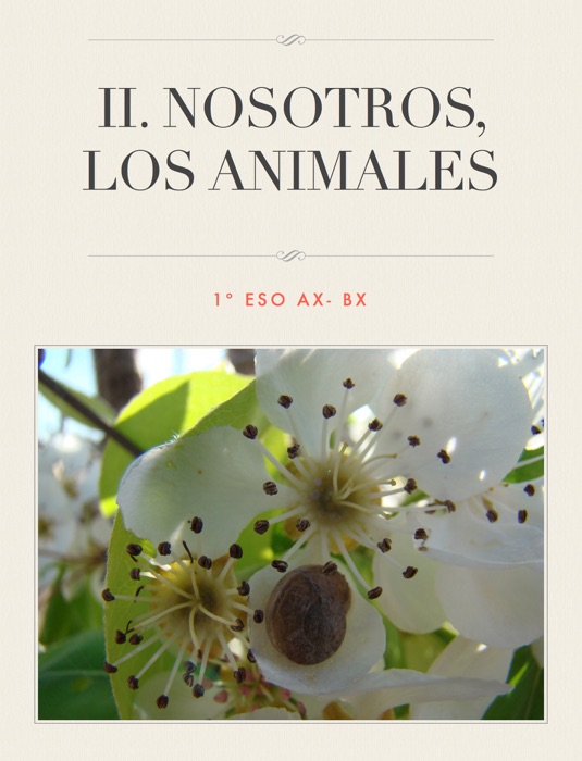 II. NOSOTROS, LOS ANIMALES