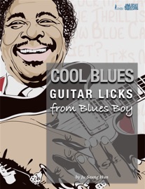 Livres Couvertures de Cool Blues Guitar Licks