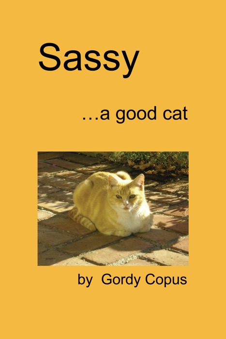 Sassy, a good cat