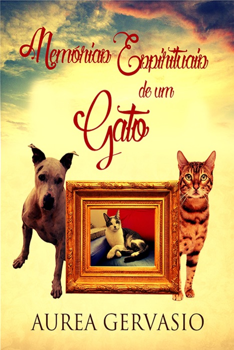 Memórias Espirituais De Um Gato