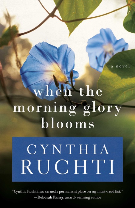 When the Morning Glory Blooms