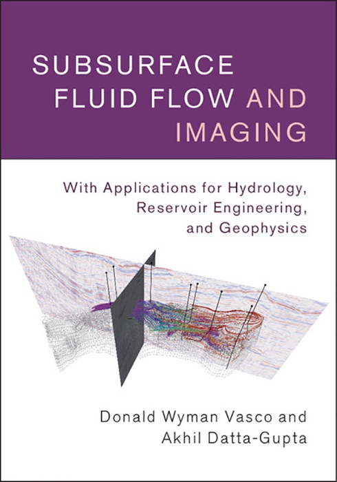 Subsurface Fluid Flow and Imaging