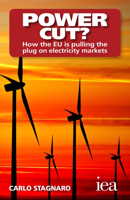 Power Cut? How the EU Is Pulling the Plug on Electricity Markets