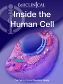 Inside the Human Cell - Howard Grossman, Virginia Grossman, Camerin Grossman & Christopher Grossman