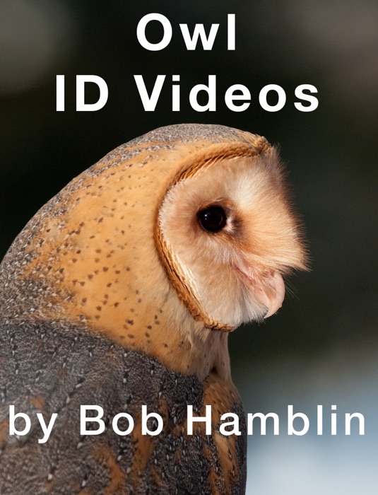 Owl ID Videos