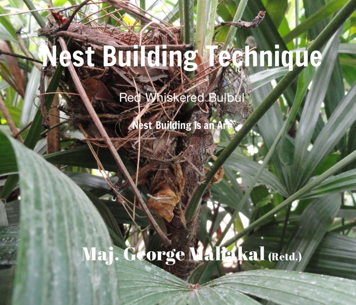 Nest Building Technique