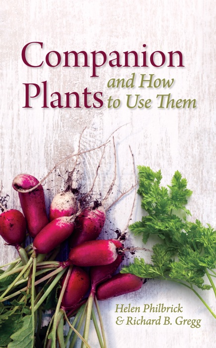 Companion Plants and How to Use Them