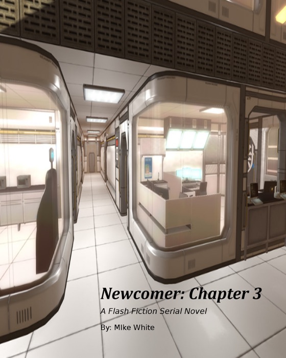 Newcomer Chapter 3: A Serial Flash Fiction Novel