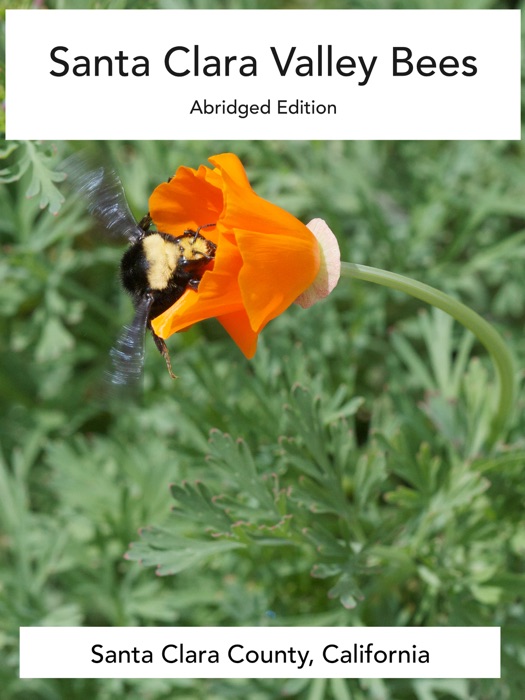 Santa Clara Valley Bees, Abridged Edition