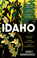 Emily Ruskovich - Idaho artwork