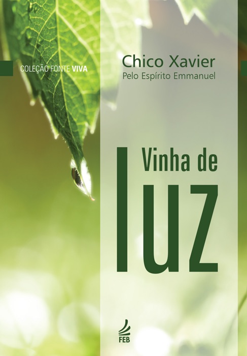 Vinha de Luz