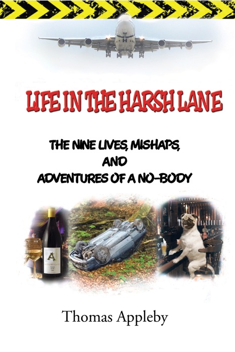 Life In The Harsh Lane