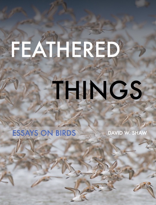 Feathered Things