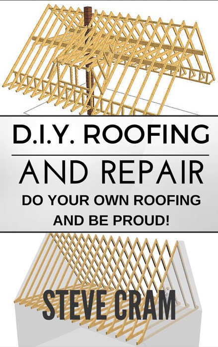 D.I.Y. Roofing and Repair