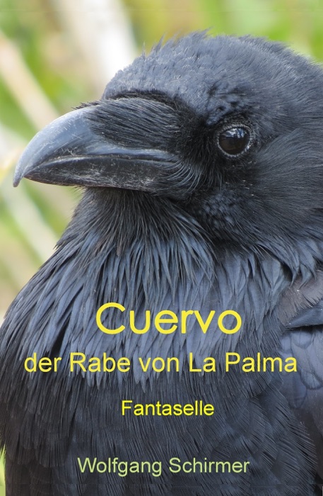 Cuervo - der Rabe von La Palma