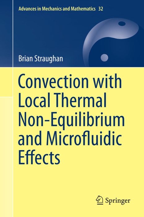 Convection with Local Thermal Non-Equilibrium and Microfluidic Effects