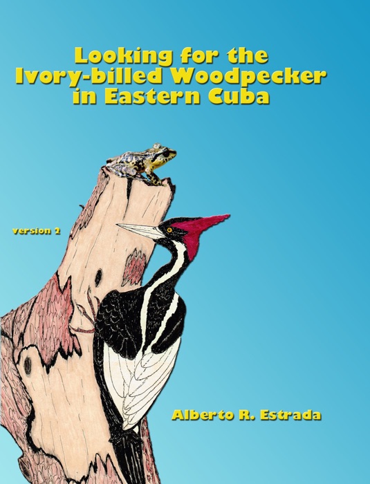 Looking for the Ivory-billed Woodpecker