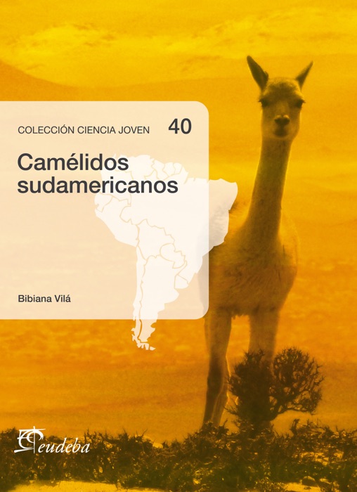 Camélidos sudamericanos