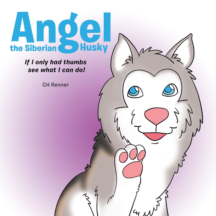 Angel the Siberian Husky