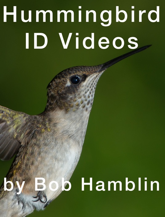 Hummingbird ID Videos