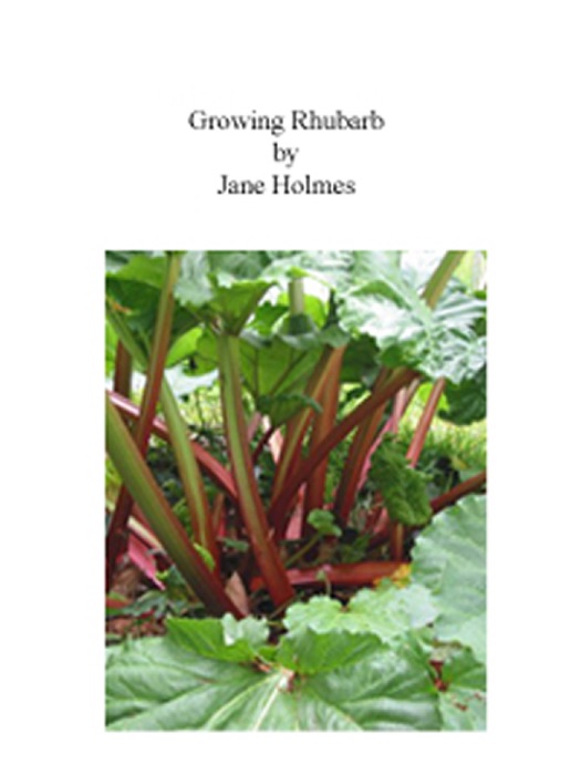 Growing Rhubarb