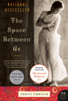 Thrity Umrigar - The Space Between Us artwork