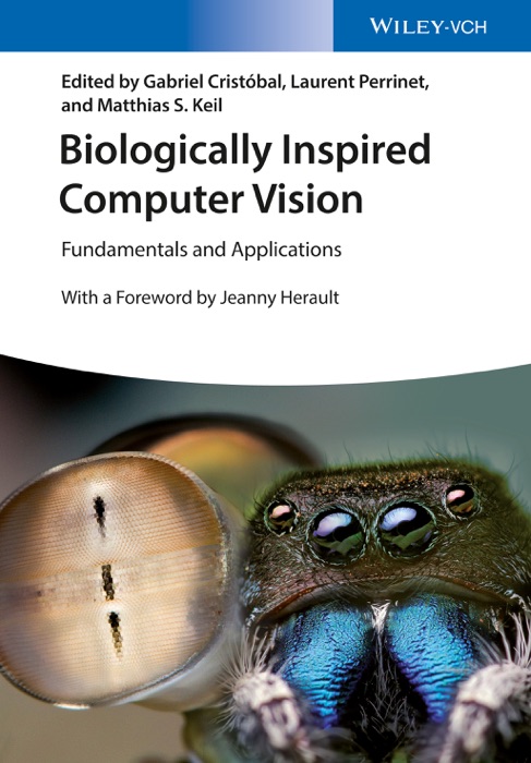 Biologically Inspired Computer Vision