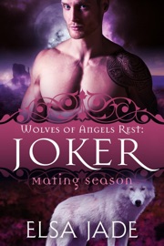 Book's Cover of Joker