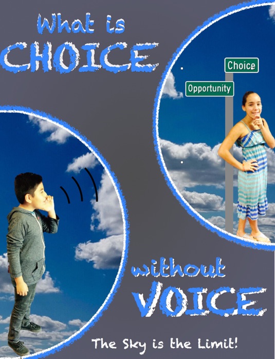 What Is Choice Without Voice