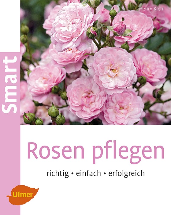 Rosen pflegen