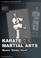 Karate Martial Arts
