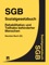 SGB - Sozialgesetzbuch Neuntes Buch (IX) - Rehabilitation und Teilhabe behinderter Menschen - Deutschland