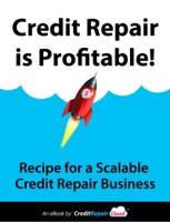 Credit Repair is Profitable!