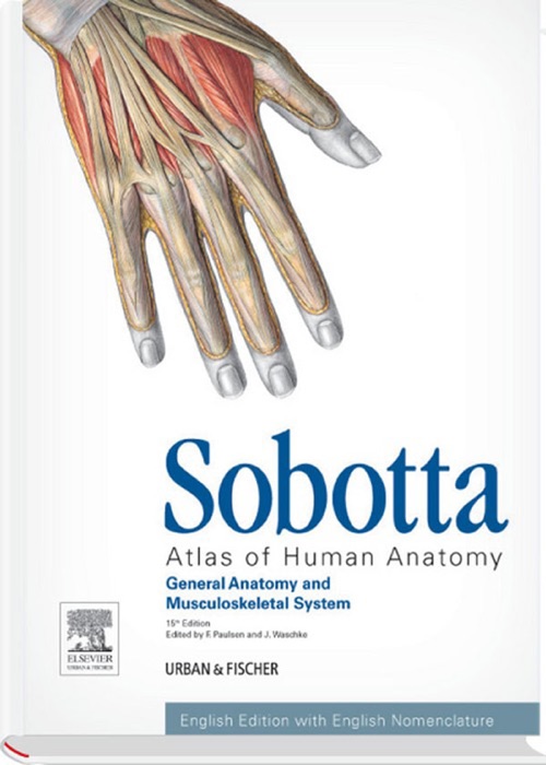 Sobotta Atlas of Human Anatomy, Vol.1, 15th ed., English