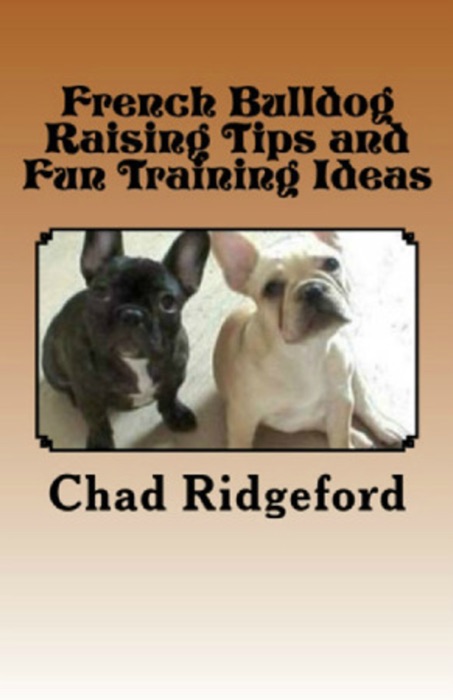 French Bulldog Raising Tips and FunTraining Ideas