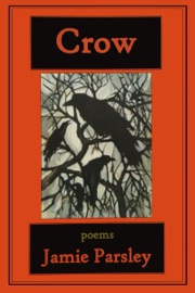 Book's Cover of Crow